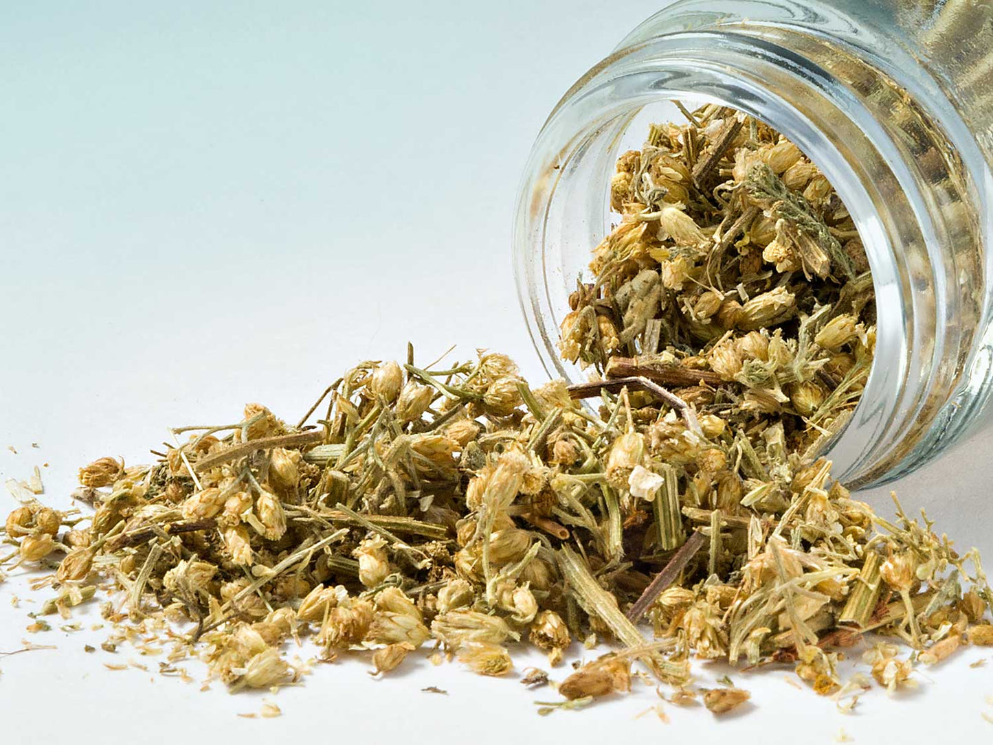 Řebříček obecný 20g