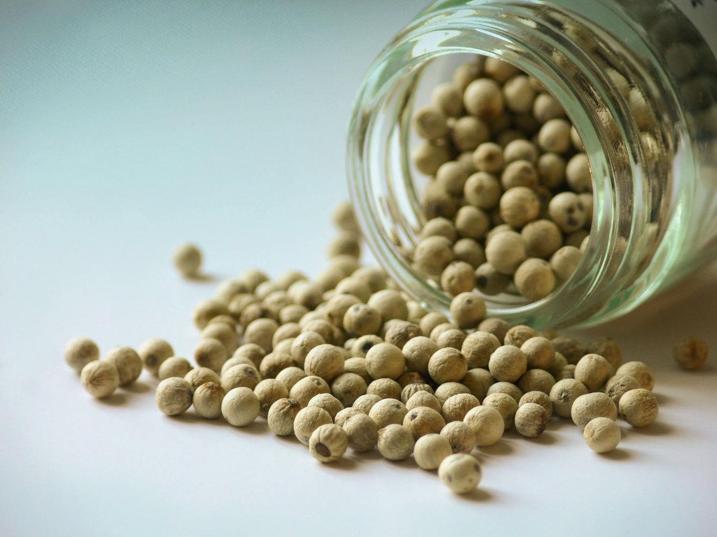 Pondicherry bílý pepř 40g