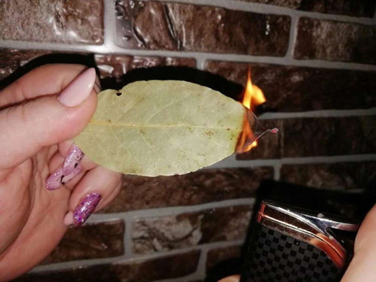 Pálení Vavřínového Listu: Přírodní Vůně a Atmosféra Domova