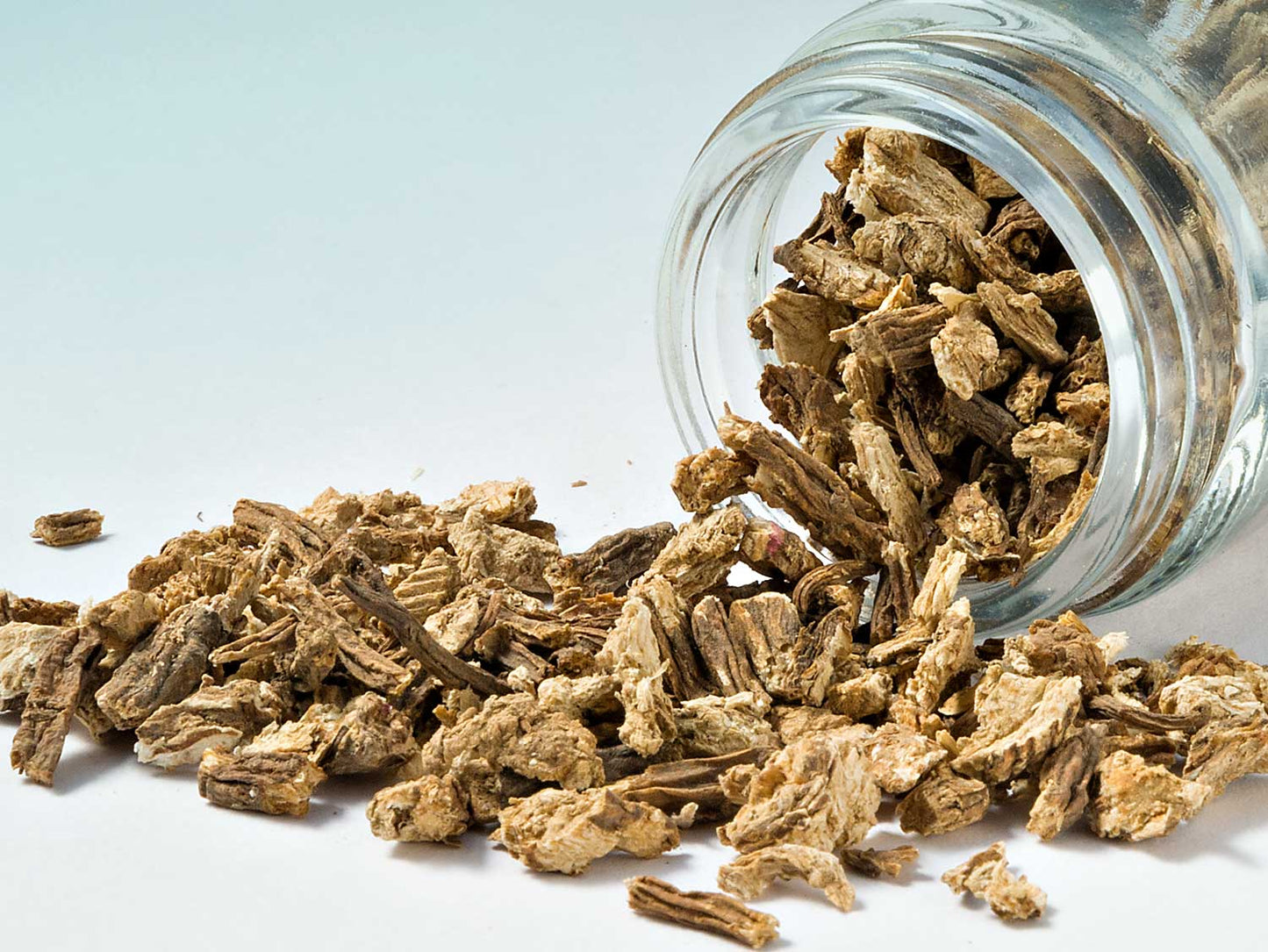 Kořen anděliky 30g