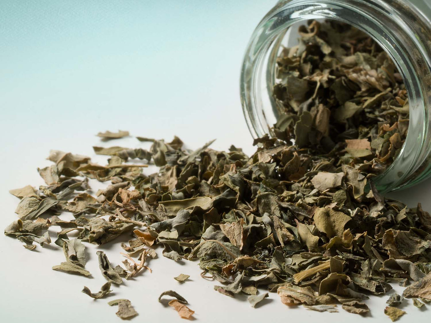 Listy pískavice řecké seno 10g